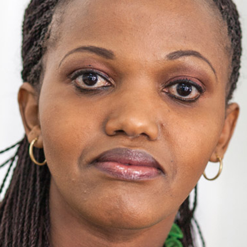 Shikoh Gitau