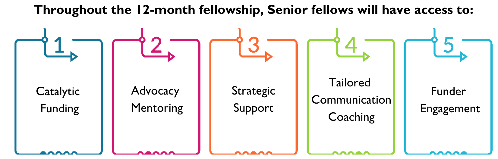 AAP fellowship structure