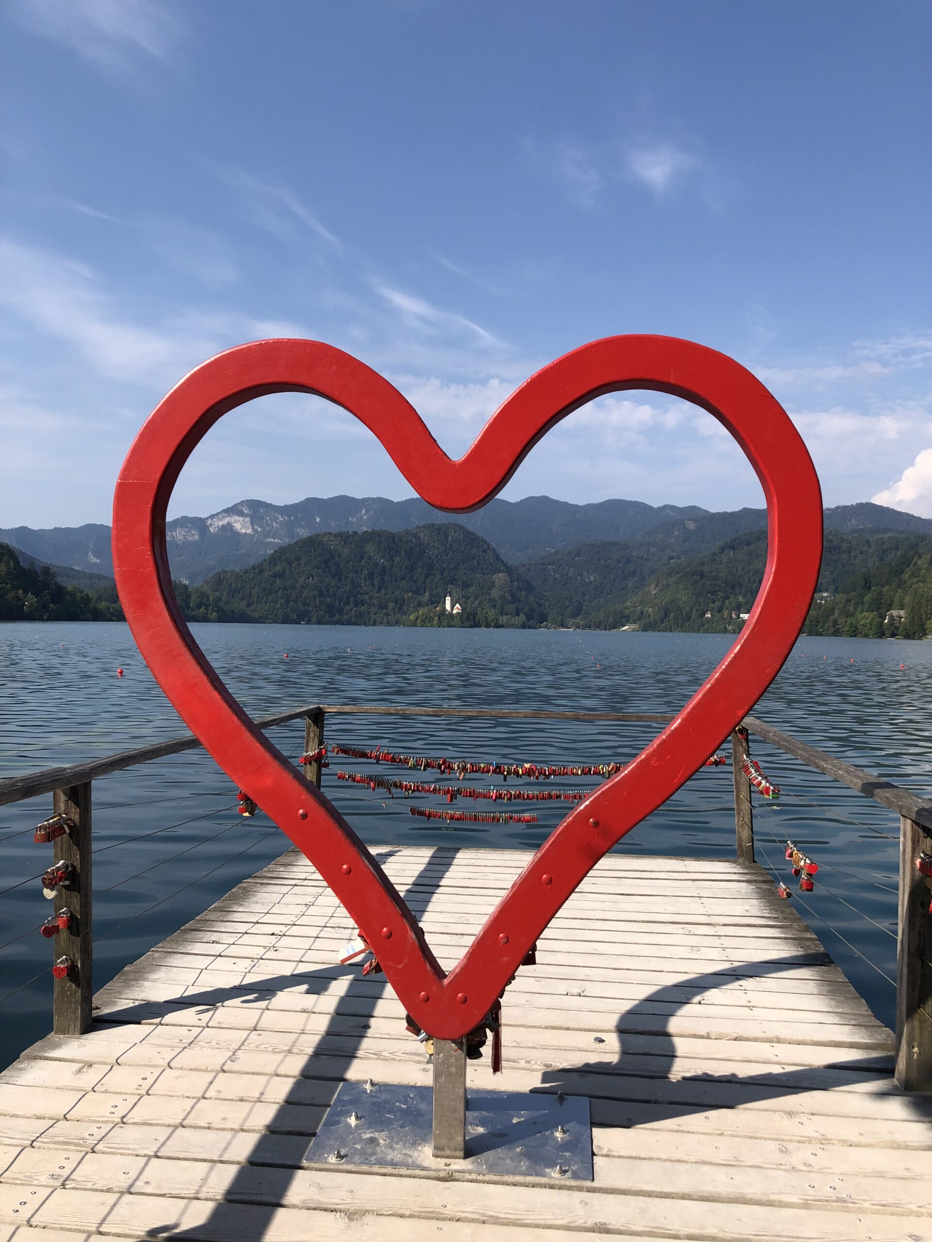 Photo is taken by ElsaMarie D'Silva in Slovenia

Slavko Oblak is the artist of the Cyclamen sculpture by the Lake in Bled, Slovenia